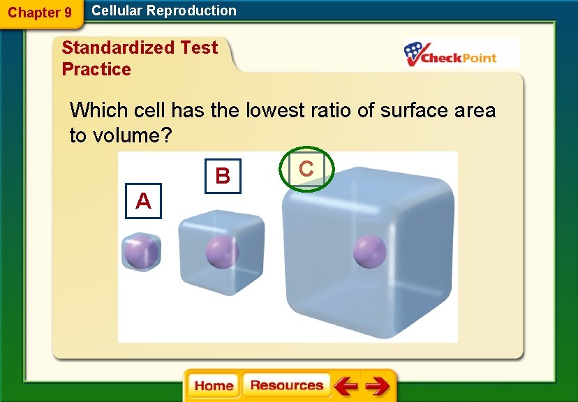 Chapter 9 Cellular Reproduction Standardized Test Practice Which cell has the lowest ratio of