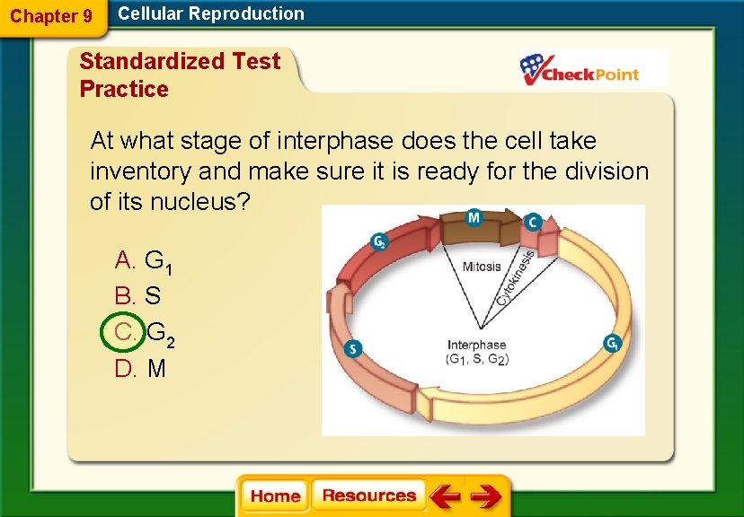 Chapter 9 Cellular Reproduction Standardized Test Practice At what stage of interphase does the