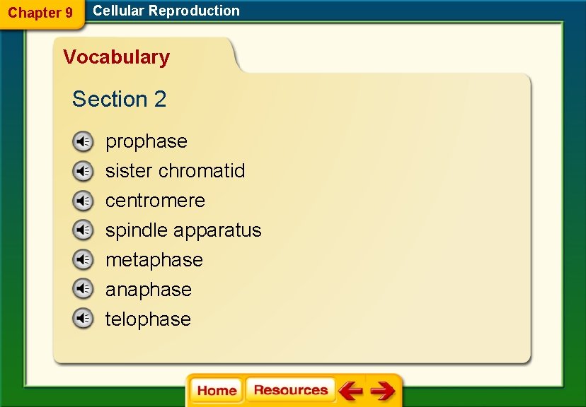 Chapter 9 Cellular Reproduction Vocabulary Section 2 prophase sister chromatid centromere spindle apparatus metaphase