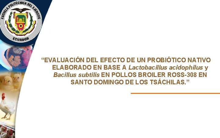 “EVALUACIÓN DEL EFECTO DE UN PROBIÓTICO NATIVO ELABORADO EN BASE A Lactobacillus acidophilus y