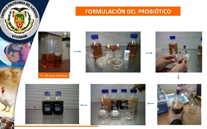 FORMULACIÓN DEL PROBIÓTICO 51 g/l agua destilada 