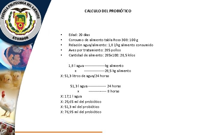 CALCULO DEL PROBIÓTICO • • • Edad: 20 días Consumo de alimento tabla Ross-308: