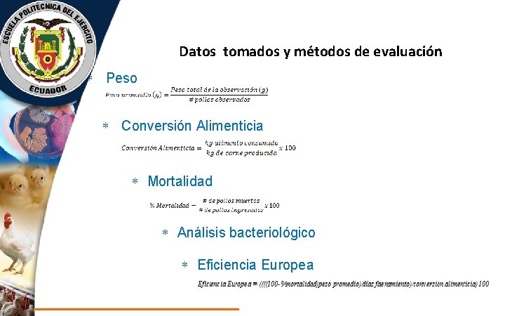 Datos tomados y métodos de evaluación Peso Conversión Alimenticia Mortalidad Análisis bacteriológico Eficiencia Europea