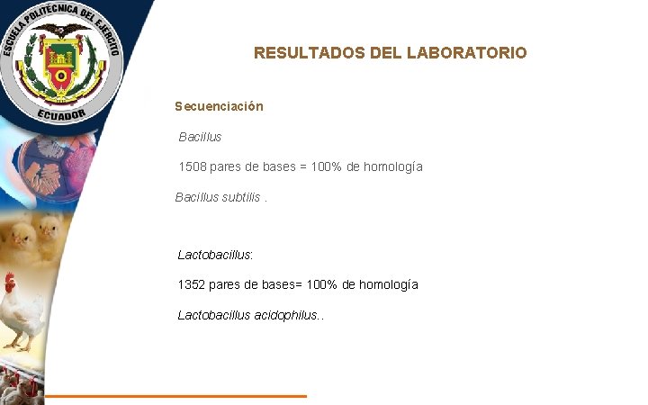 RESULTADOS DEL LABORATORIO Secuenciación Bacillus 1508 pares de bases = 100% de homología Bacillus