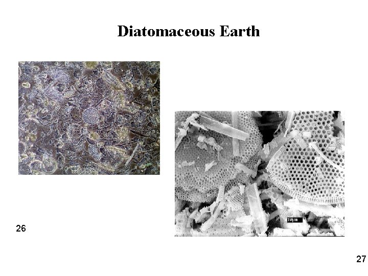 Diatomaceous Earth 26 27 