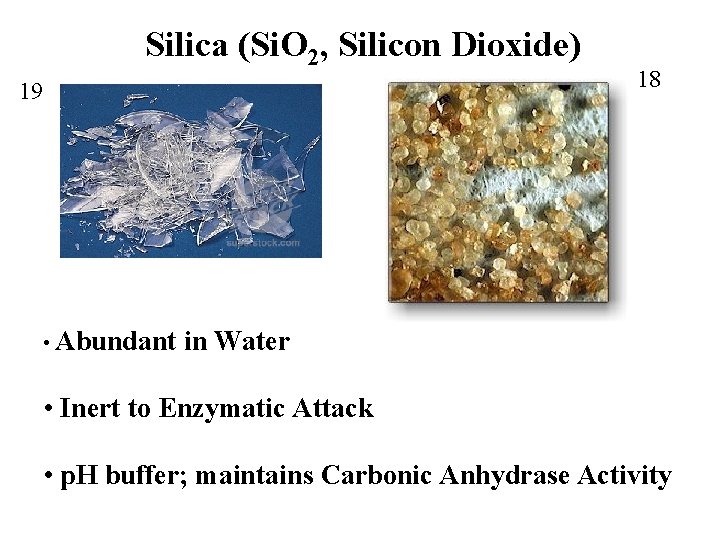 Silica (Si. O 2, Silicon Dioxide) 19 • Abundant 18 in Water • Inert