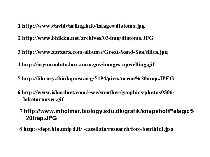 1 http: //www. daviddarling. info/images/diatoms. jpg 2 http: //www. bhikku. net/archives/03/img/diatoms. JPG 3 http: