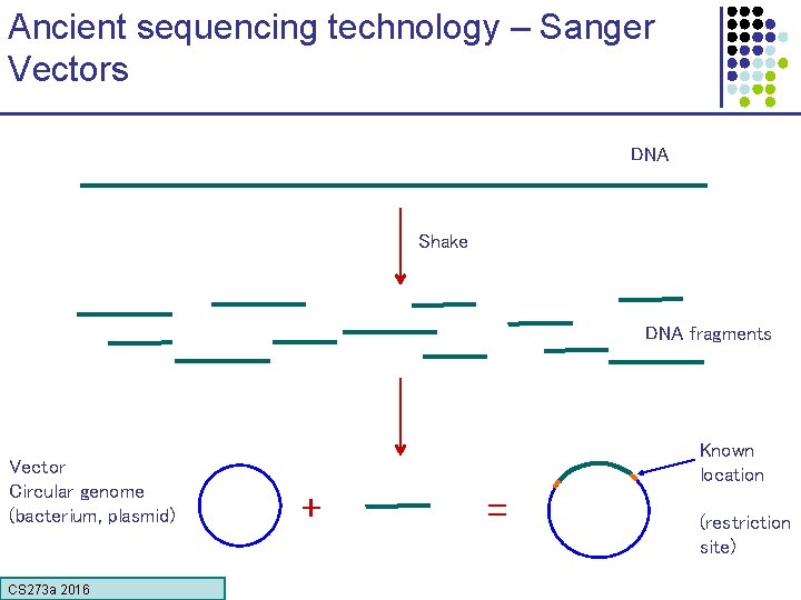 Ancient sequencing technology – Sanger Vectors DNA Shake DNA fragments Vector Circular genome (bacterium,