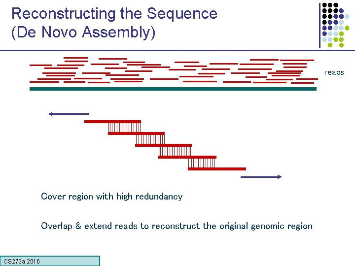 Reconstructing the Sequence (De Novo Assembly) reads Cover region with high redundancy Overlap &