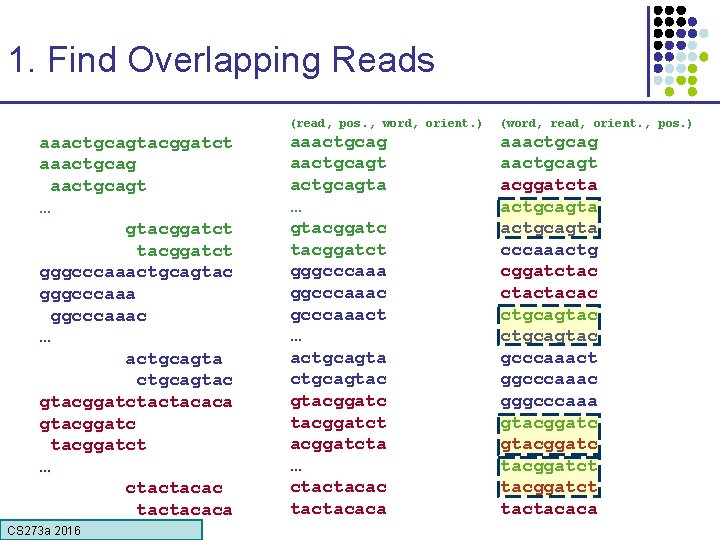 1. Find Overlapping Reads aaactgcagtacggatct aaactgcagt … gtacggatct gggcccaaactgcagtac gggcccaaac … actgcagtac gtacggatctactacaca gtacggatct