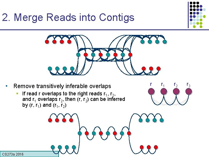 2. Merge Reads into Contigs • Remove transitively inferable overlaps § If read r