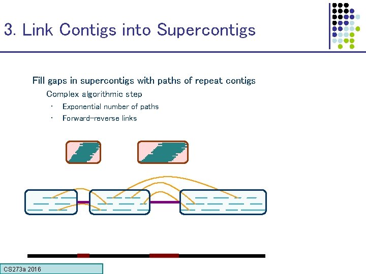3. Link Contigs into Supercontigs Fill gaps in supercontigs with paths of repeat contigs