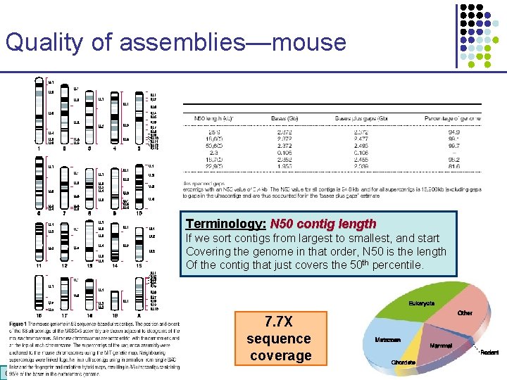 Quality of assemblies—mouse Terminology: N 50 contig length If we sort contigs from largest