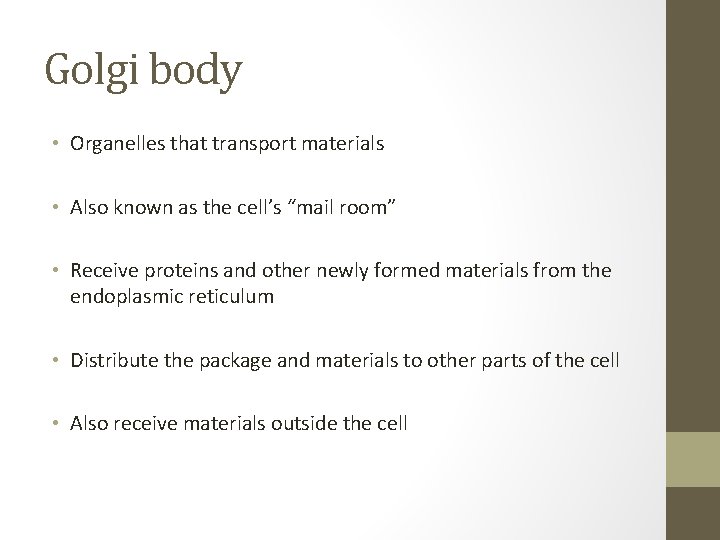 Golgi body • Organelles that transport materials • Also known as the cell’s “mail