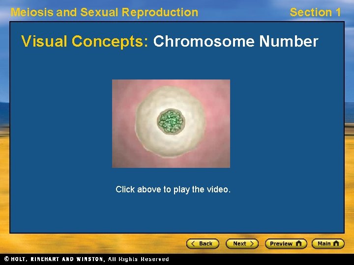 Meiosis and Sexual Reproduction Section 1 Visual Concepts: Chromosome Number Click above to play