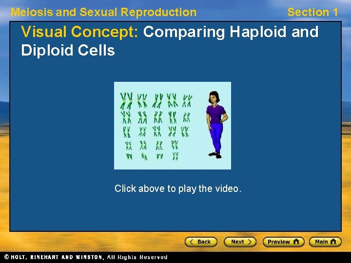 Meiosis and Sexual Reproduction Section 1 Visual Concept: Comparing Haploid and Diploid Cells Click