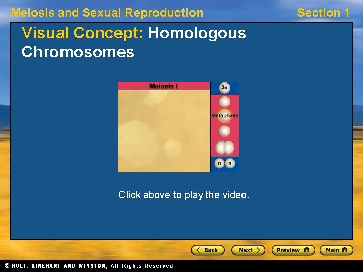 Meiosis and Sexual Reproduction Visual Concept: Homologous Chromosomes Click above to play the video.