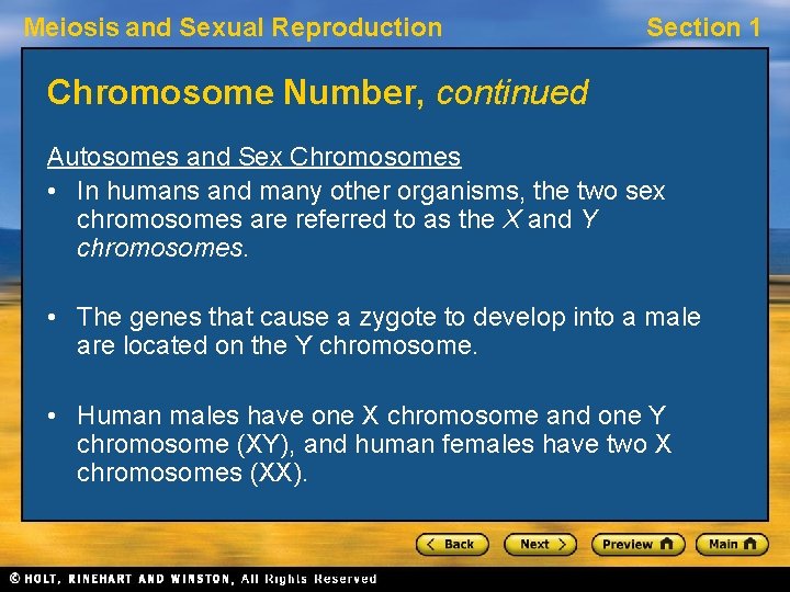 Meiosis and Sexual Reproduction Section 1 Chromosome Number, continued Autosomes and Sex Chromosomes •