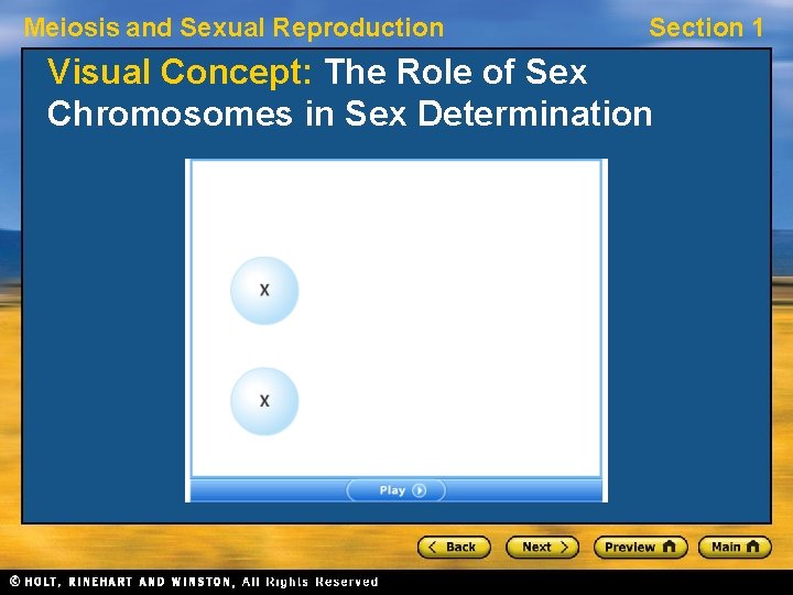 Meiosis and Sexual Reproduction Section 1 Visual Concept: The Role of Sex Chromosomes in