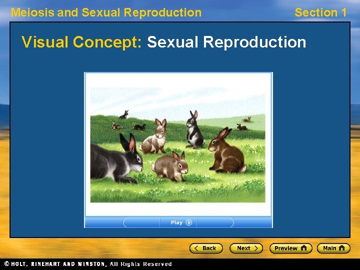 Meiosis and Sexual Reproduction Section 1 Visual Concept: Sexual Reproduction 