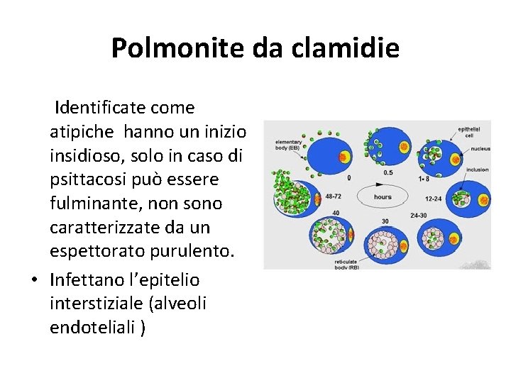 Polmonite da clamidie Identificate come atipiche hanno un inizio insidioso, solo in caso di