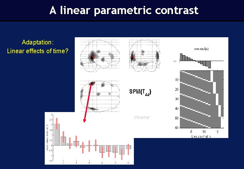 A linear parametric contrast Adaptation: Linear effects of time? 