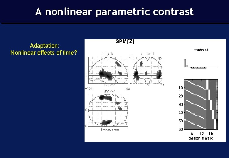 A nonlinear parametric contrast Adaptation: Nonlinear effects of time? 