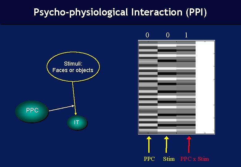 Psycho-physiological Interaction (PPI) 0 0 1 Stimuli: Faces or objects PPC IT PPC Stim