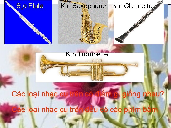S¸o Flute KÌn Saxophone KÌn Clarinette KÌn Trompette Các loại nhạc cụ trên có S¸o Flute KÌn Saxophone KÌn Clarinette KÌn Trompette Các loại nhạc cụ trên có
