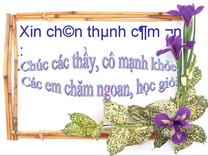 Xin ch©n thµnh c¶m ¬n. : . Xin ch©n thµnh c¶m ¬n. : .