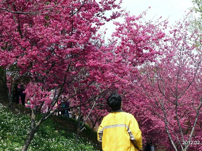 2020/10/26 Synthetic Design for Signal Location 25 