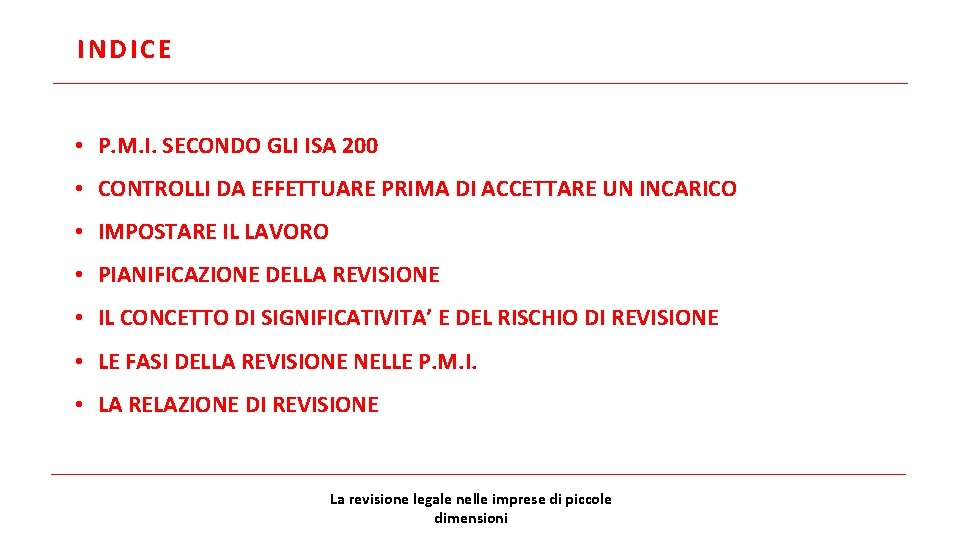 INDICE • P. M. I. SECONDO GLI ISA 200 • CONTROLLI DA EFFETTUARE PRIMA