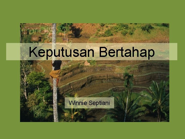 Keputusan Bertahap Winnie Septiani 