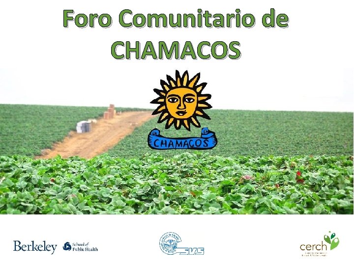 Foro Comunitario de CHAMACOS 