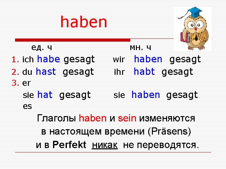 haben ед. ч мн. ч 1. ich habe gesagt wir haben gesagt 2. du