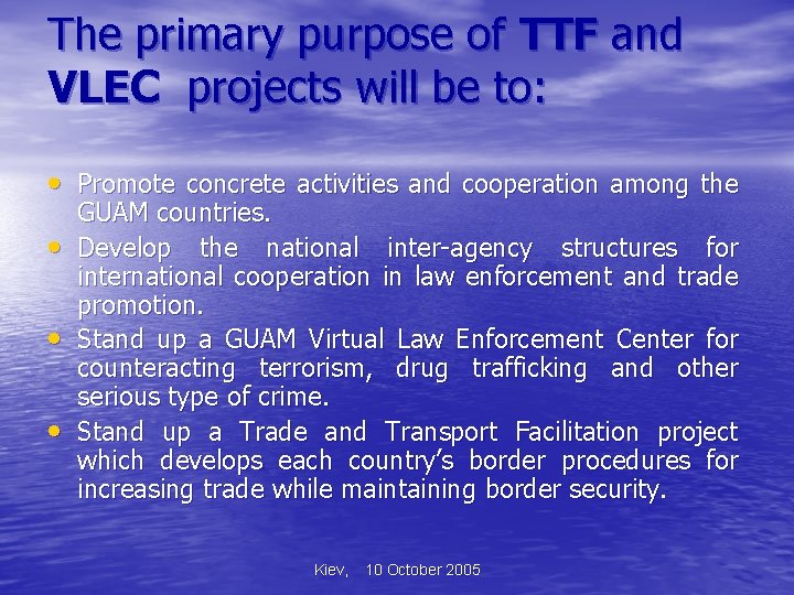 The primary purpose of TTF and VLEC projects will be to: Promote concrete activities