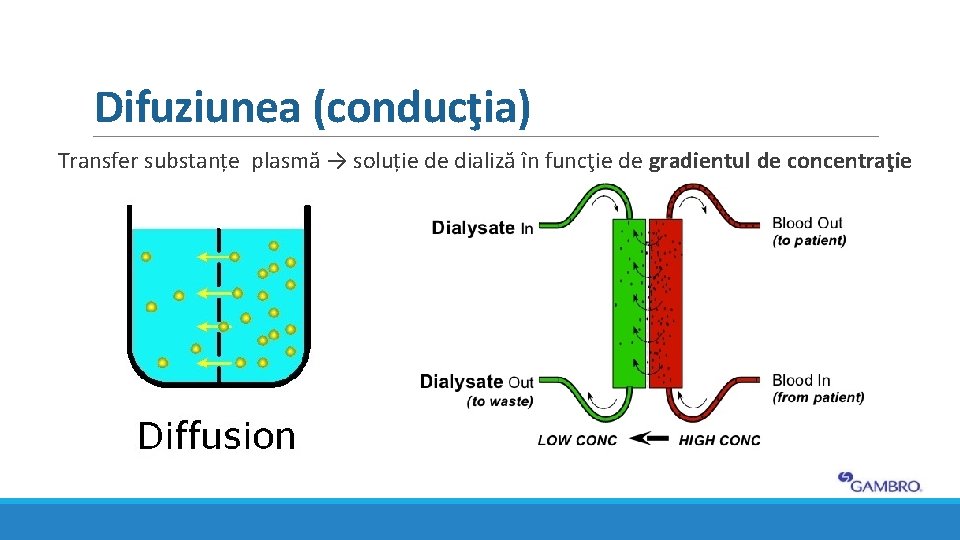 Difuziunea (conducţia) Transfer substanțe plasmă → soluție de dializă în funcţie de gradientul de Difuziunea (conducţia) Transfer substanțe plasmă → soluție de dializă în funcţie de gradientul de