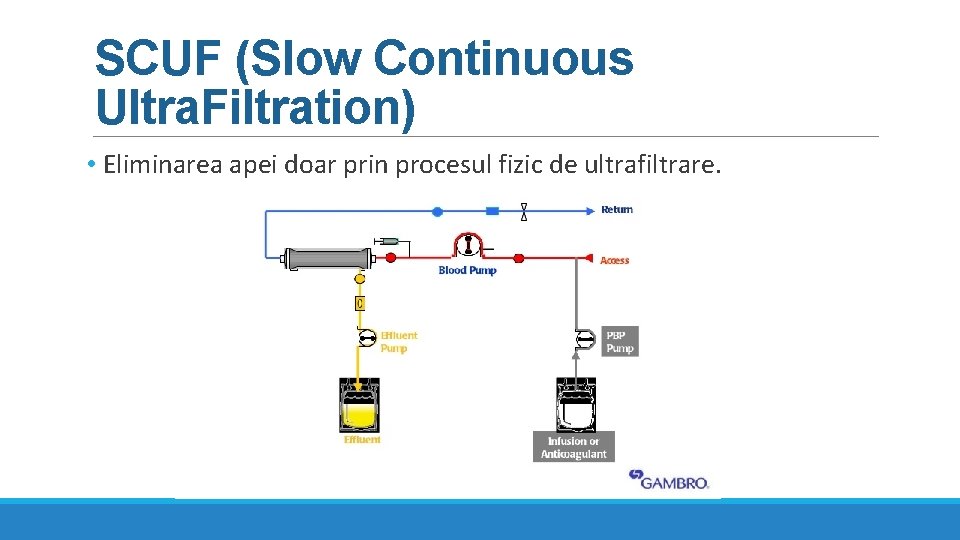 SCUF (Slow Continuous Ultra. Filtration) • Eliminarea apei doar prin procesul fizic de ultrafiltrare. SCUF (Slow Continuous Ultra. Filtration) • Eliminarea apei doar prin procesul fizic de ultrafiltrare.