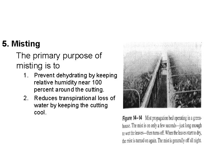 5. Misting The primary purpose of misting is to 1. Prevent dehydrating by keeping