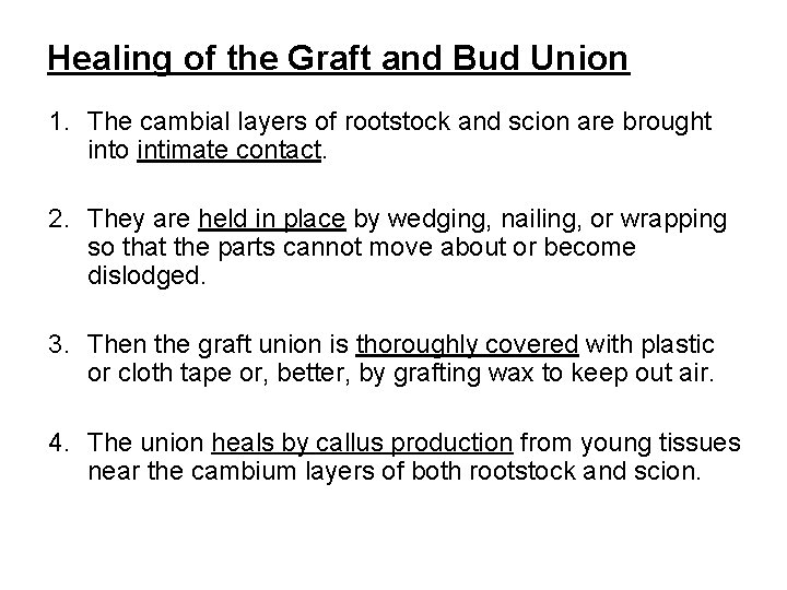 Healing of the Graft and Bud Union 1. The cambial layers of rootstock and