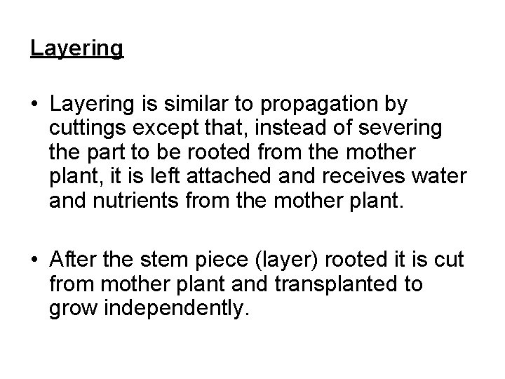 Layering • Layering is similar to propagation by cuttings except that, instead of severing