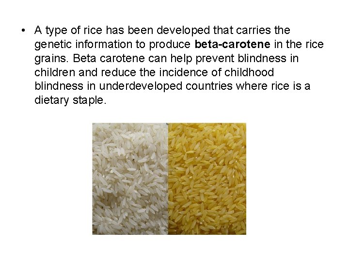  • A type of rice has been developed that carries the genetic information