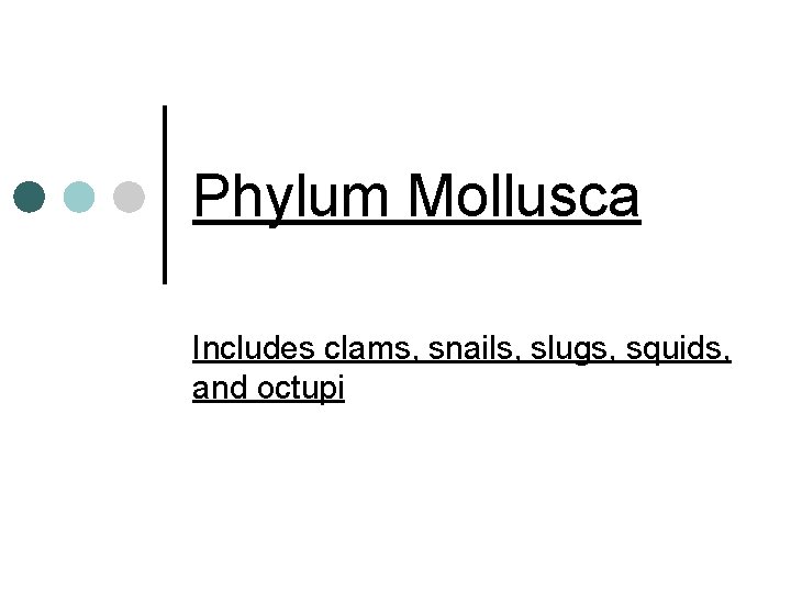 Phylum Mollusca Includes clams, snails, slugs, squids, and octupi 