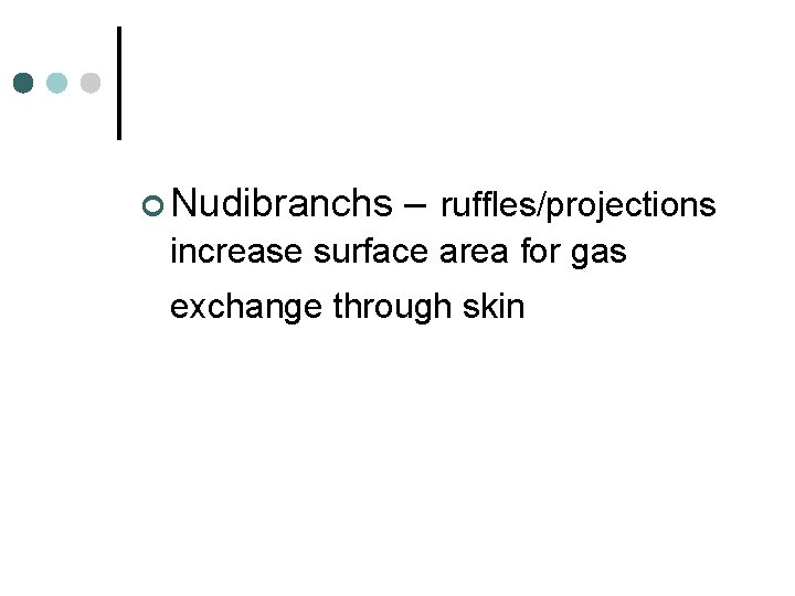 ¢ Nudibranchs – ruffles/projections increase surface area for gas exchange through skin 