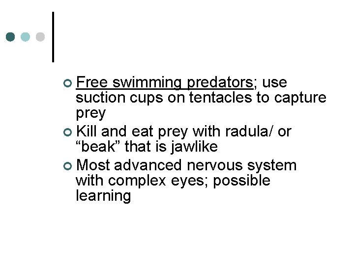 ¢ Free swimming predators; use suction cups on tentacles to capture prey ¢ Kill