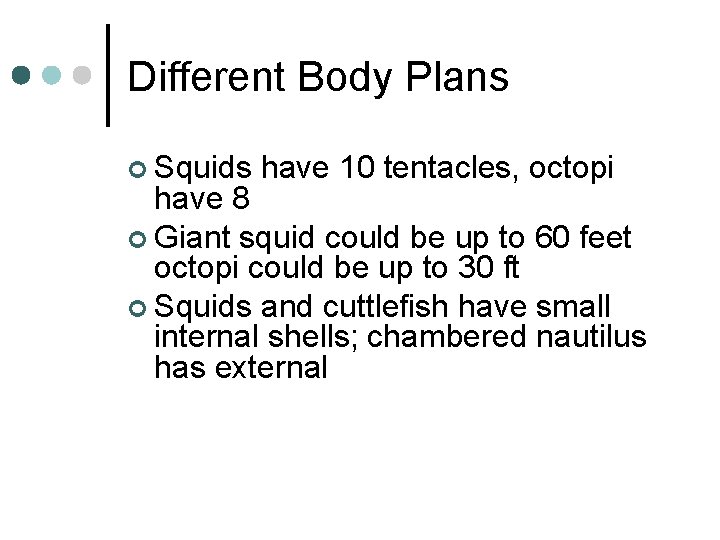 Different Body Plans ¢ Squids have 10 tentacles, octopi have 8 ¢ Giant squid