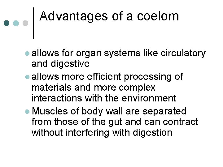 Advantages of a coelom l allows for organ systems like circulatory and digestive l