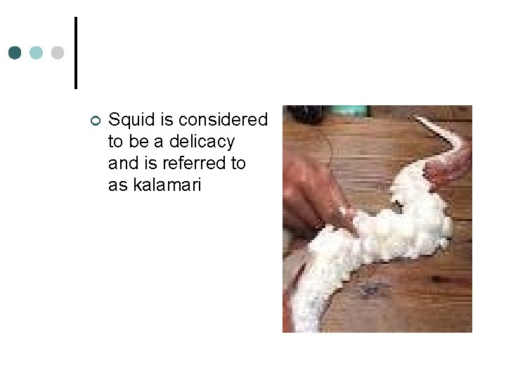 ¢ Squid is considered to be a delicacy and is referred to as kalamari
