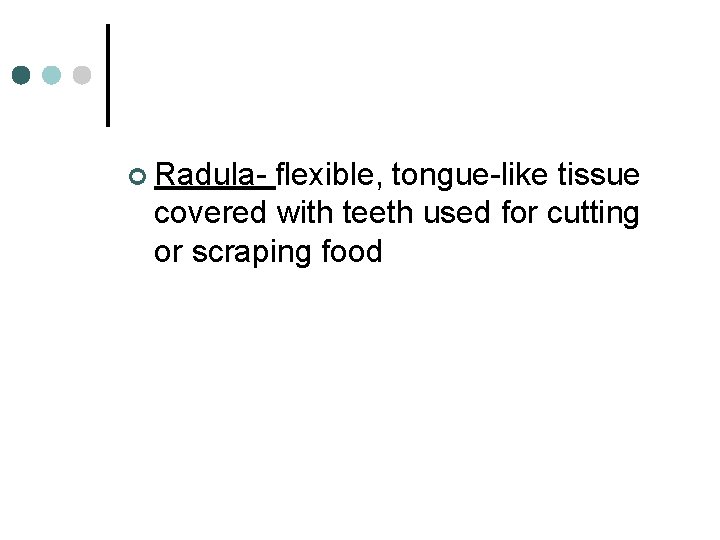 ¢ Radula- flexible, tongue-like tissue covered with teeth used for cutting or scraping food