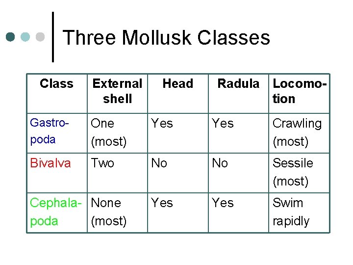 Phylum Mollusca Includes clams snails slugs squids and